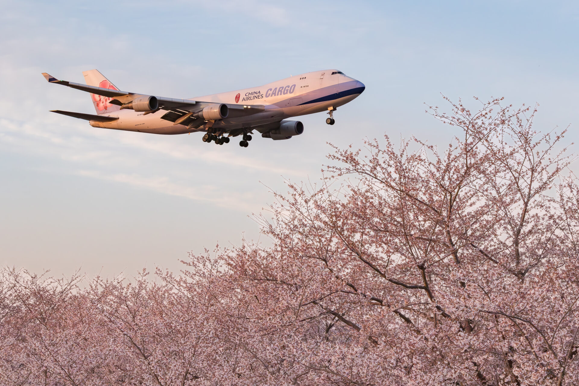 飛行機撮影 成田空港