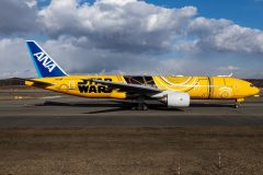 Canon EOS R  2019-03-27 15:41:19  f/11 1/500sec ISO-200 35mm