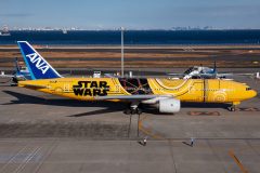 Canon EOS R6  2022-12-14 05:33:22  f/8 1/1250sec ISO-200 73mm