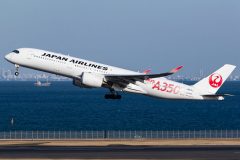 Canon EOS 7D Mark II  2019-12-15 13:57:00  f/7.1 1/2000sec ISO-200 180mm