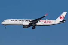 Canon EOS 7D Mark II  2021-11-26 14:33:29  f/8 1/2500sec ISO-200 260mm