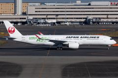 Canon EOS R6  2021-11-25 04:49:50  f/9 1/1600sec ISO-200 250mm