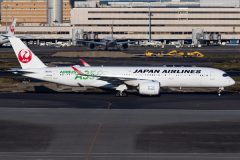 Canon EOS 7D Mark II  2019-11-06 15:34:41  f/8 1/1600sec ISO-200 170mm