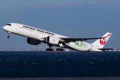 Canon EOS 7D Mark II  2020-03-05 16:17:34  f/9 1/2000sec ISO-200 210mm