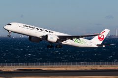 Canon EOS 7D Mark II  2019-12-27 14:39:55  f/7.1 1/3200sec ISO-250 210mm