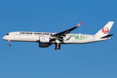 Canon EOS 7D Mark II  2019-12-28 15:32:07  f/8 1/2000sec ISO-200 250mm