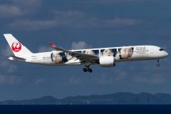 Canon EOS 6D Mark II  2020-10-29 09:42:14  f/7.1 1/2000sec ISO-400 260mm