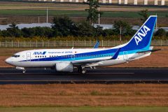 Canon EOS 6D  2019-10-30 08:05:43  f/8 1/800sec ISO-250 330mm