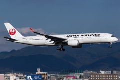 Canon EOS 7D Mark II  2020-11-24 14:45:35  f/8 1/2000sec ISO-160 135mm