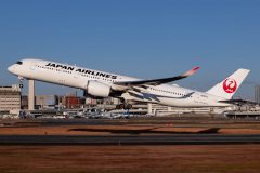 Canon EOS R6  2021-12-09 06:50:37  f/7.1 1/2000sec ISO-200 84mm