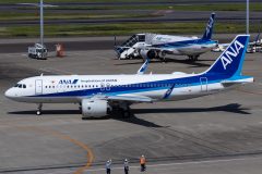 Canon EOS R  2020-06-08 05:16:38  f/9 1/800sec ISO-100 135mm