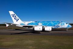 Canon EOS R6  2021-09-20 06:03:16  f/9 1/1600sec ISO-160 28mm