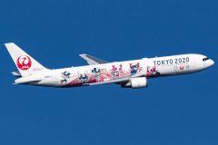 Canon EOS 7D Mark II  2020-01-19 09:55:17  f/8 1/2000sec ISO-200 400mm