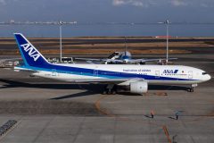 Canon EOS 6D  2020-12-27 13:50:56  f/9 1/1600sec ISO-200 73mm