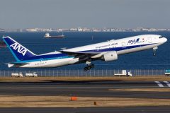 Canon EOS 7D Mark II  2018-12-18 14:18:55  f/8 1/1600sec ISO-200 190mm