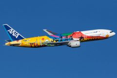 Canon EOS 7D Mark II  2018-12-15 09:15:50  f/8 1/2500sec ISO-200 250mm