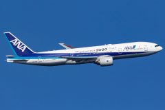 Canon EOS 7D Mark II  2020-01-19 10:41:10  f/8 1/2000sec ISO-200 400mm