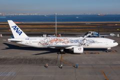 Canon EOS R6  2022-12-08 05:34:40  f/9 1/1250sec ISO-160 73mm