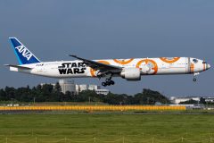 Canon EOS 7D Mark II  2019-08-17 16:06:14  f/8 1/1600sec ISO-200 74mm