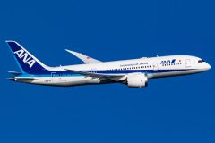 Canon EOS 7D Mark II  2020-01-02 08:15:46  f/7.1 1/2500sec ISO-250 295mm