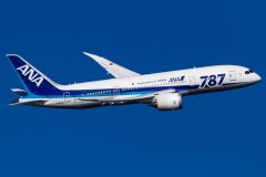 Canon EOS 7D  2017-01-15 10:00:26  f/8 1/2000sec ISO-160 400mm