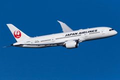 Canon EOS 7D Mark II  2020-01-02 08:44:58  f/7.1 1/4000sec ISO-250 413mm