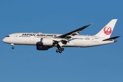 Canon EOS 7D Mark II  2019-12-28 15:42:36  f/8 1/2000sec ISO-200 300mm