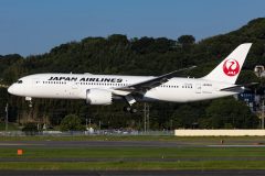 Canon EOS R6  2021-10-05 07:50:14  f/8 1/1600sec ISO-200 180mm